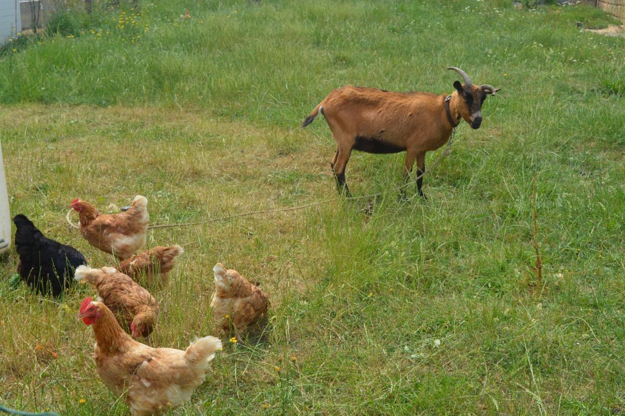 Detente Et Confort - Gite Baie Bocage Sartilly-Baie-Bocage Exteriér fotografie